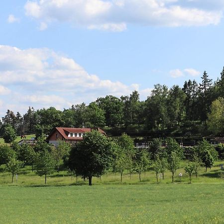 Ubytovani Pod Haniperkem Hotel Vodňany Екстериор снимка