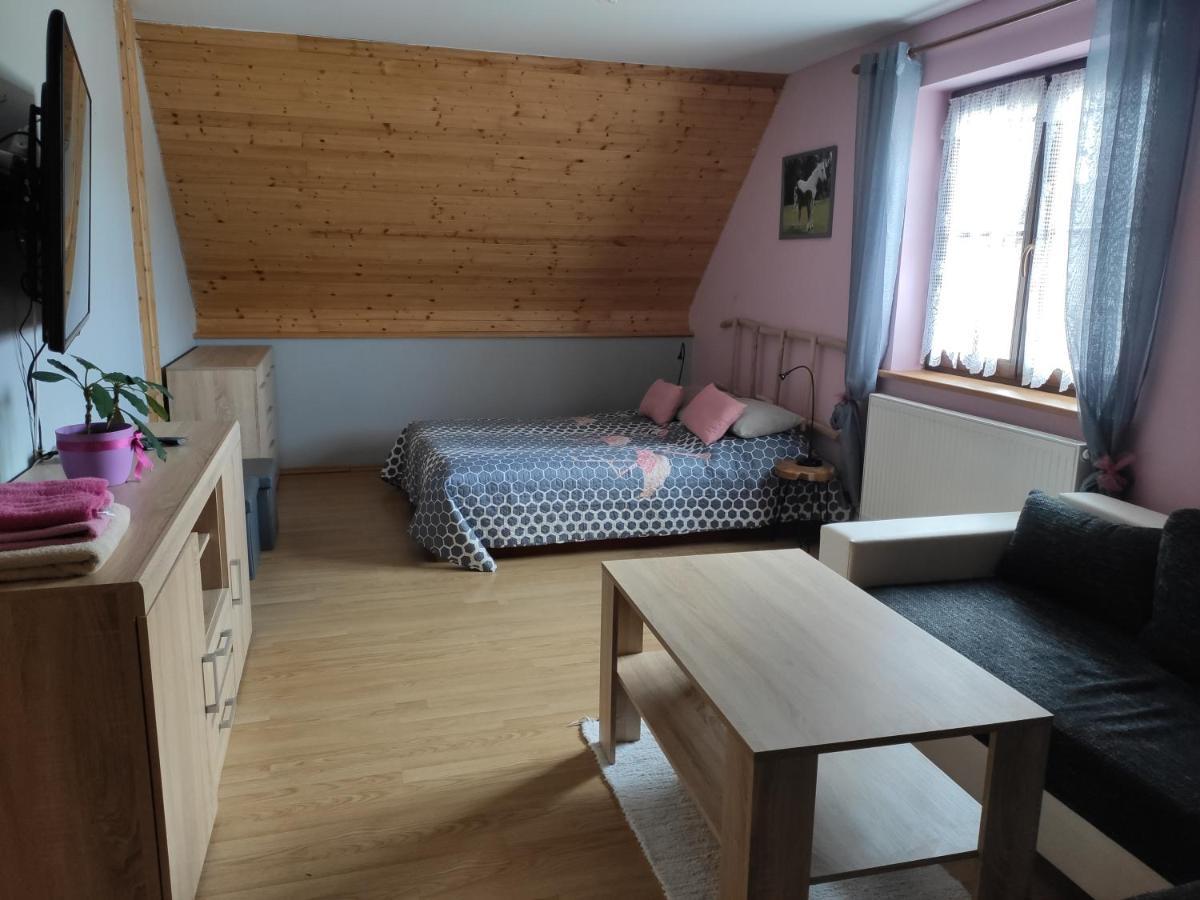 Ubytovani Pod Haniperkem Hotel Vodňany Екстериор снимка