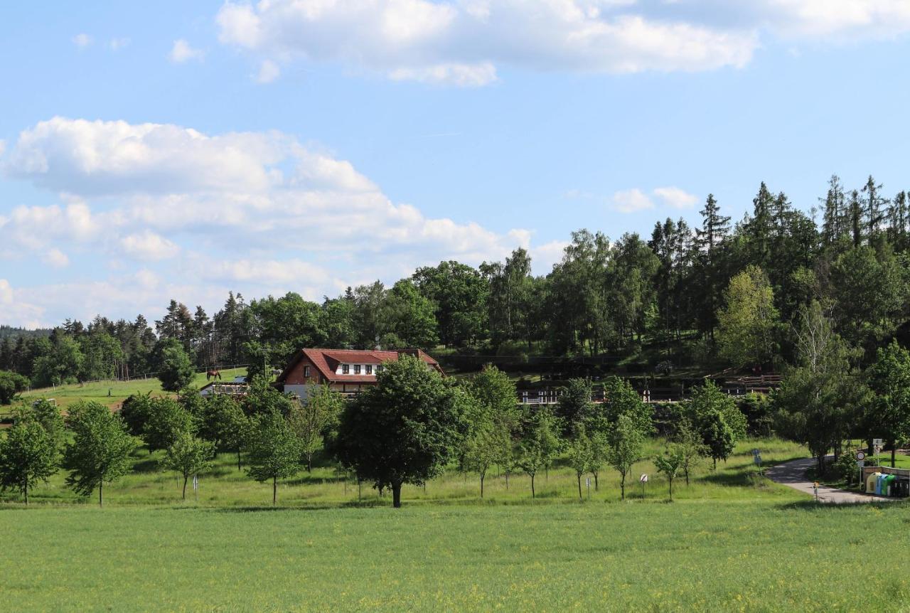 Ubytovani Pod Haniperkem Hotel Vodňany Екстериор снимка
