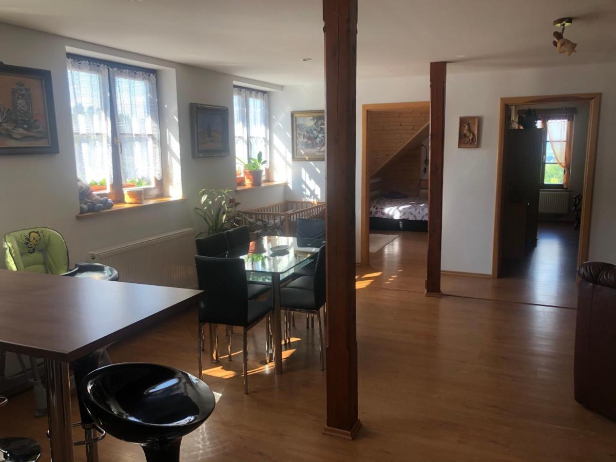 Ubytovani Pod Haniperkem Hotel Vodňany Екстериор снимка
