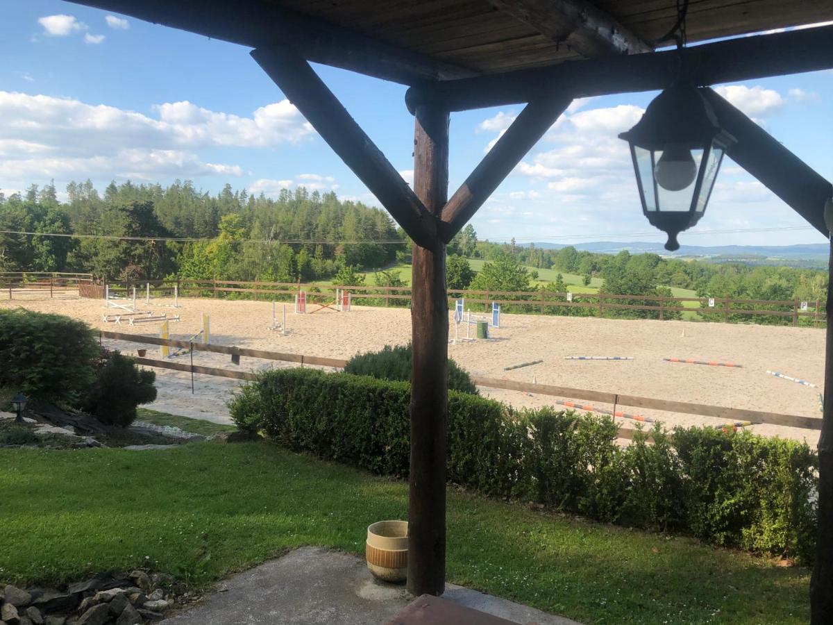 Ubytovani Pod Haniperkem Hotel Vodňany Екстериор снимка