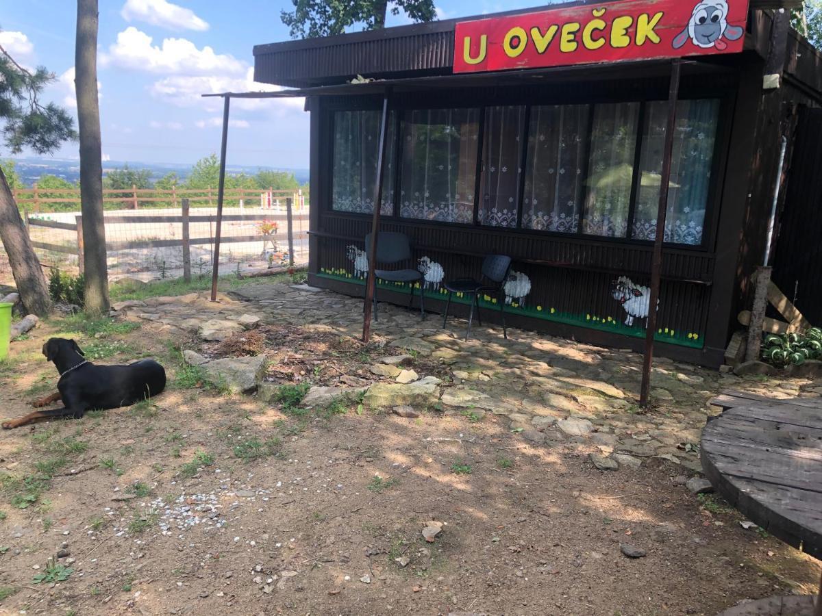 Ubytovani Pod Haniperkem Hotel Vodňany Екстериор снимка
